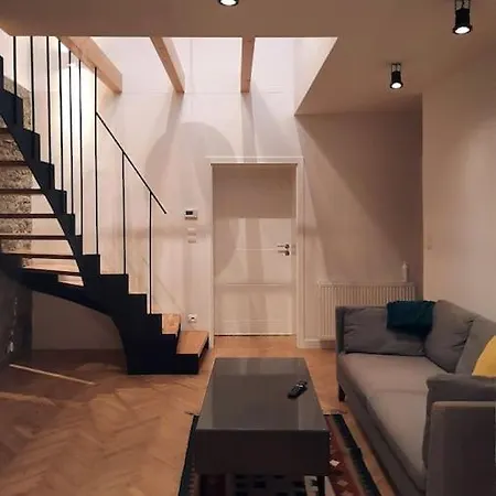 度假居 Buda-city House